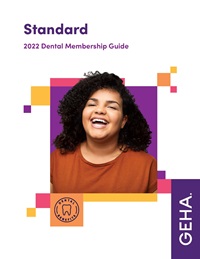 dental standard ebook cover